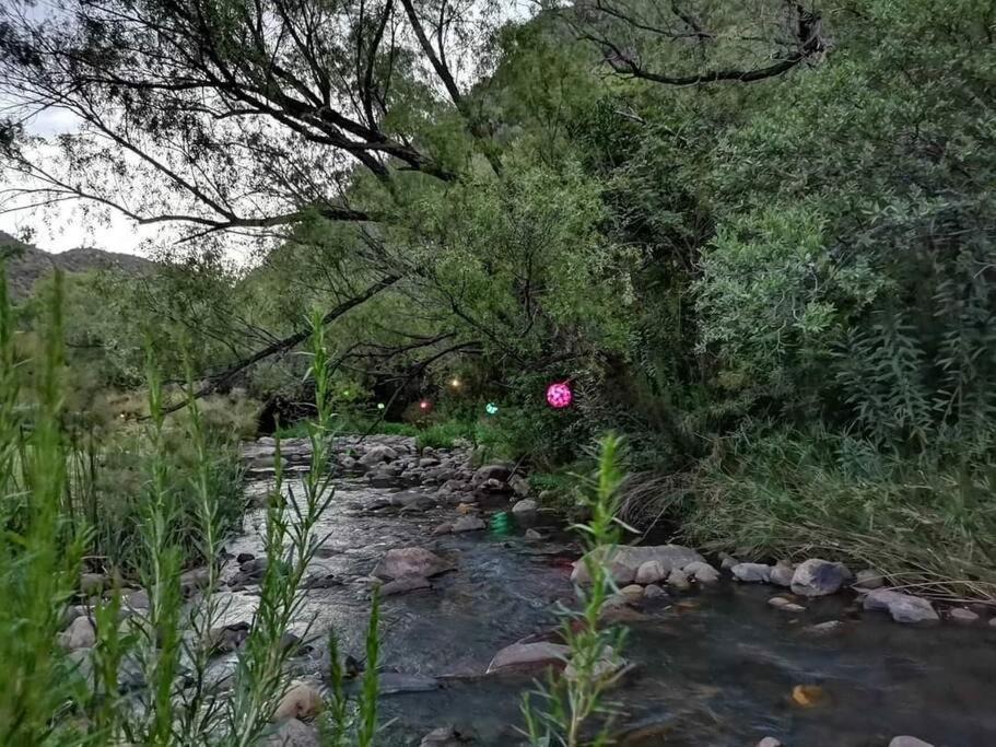 Photo of Others in Oudtshoorn