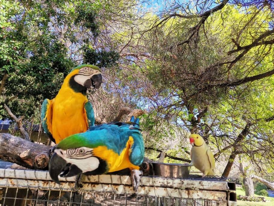Photo of Others in Oudtshoorn