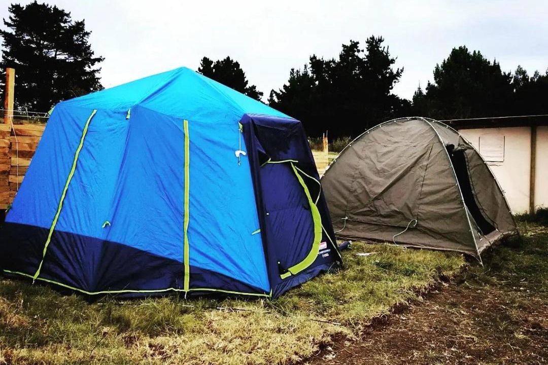 Photo of Others in Wilderness