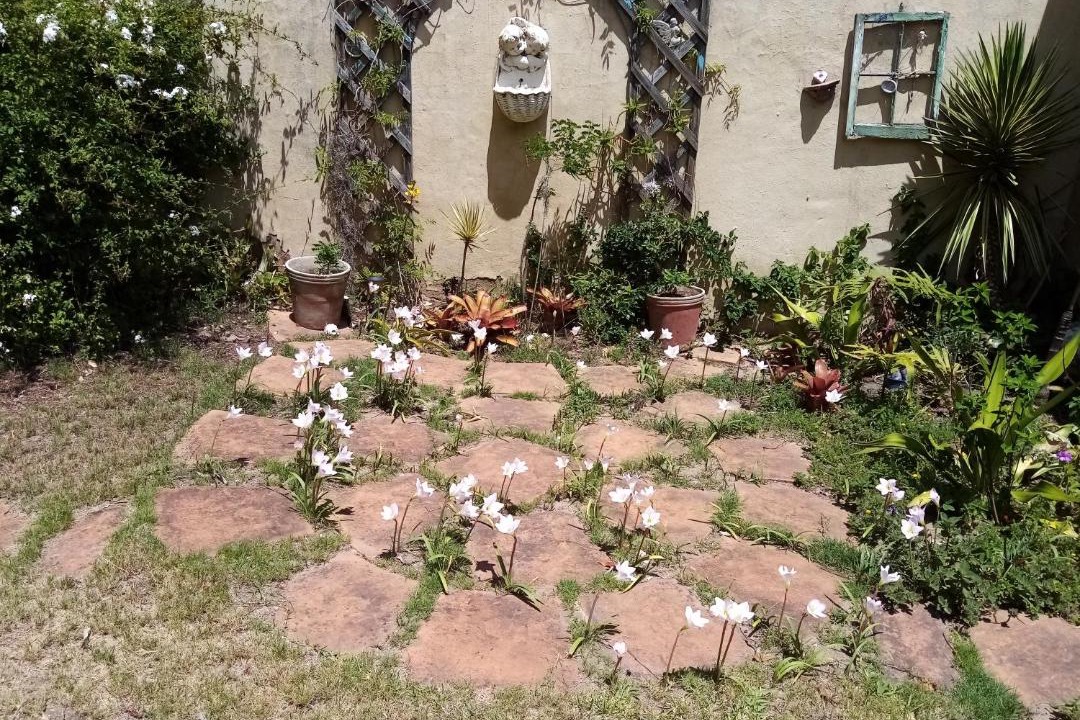 Photo of Others in Port Alfred