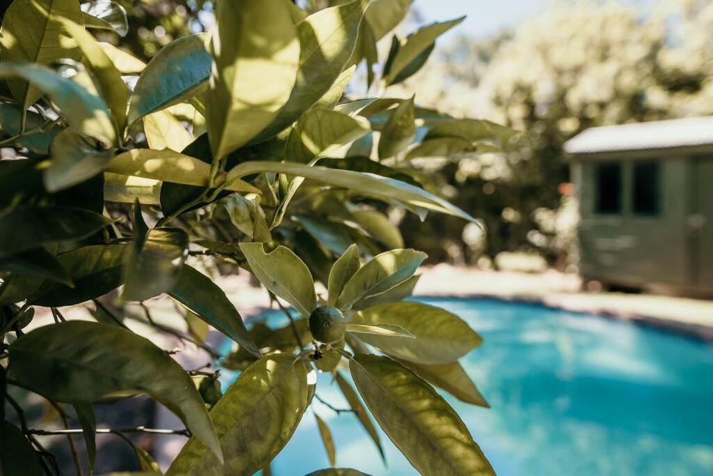 Photo of Outdoor in Greyton