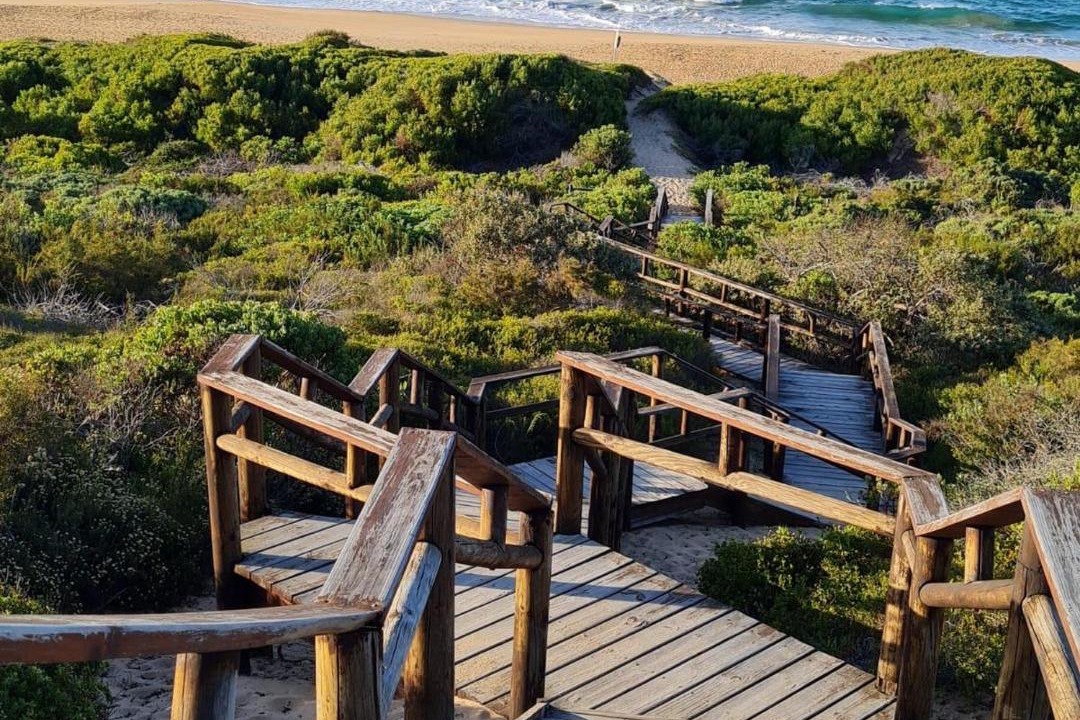 Photo of Others in Wilderness Beach