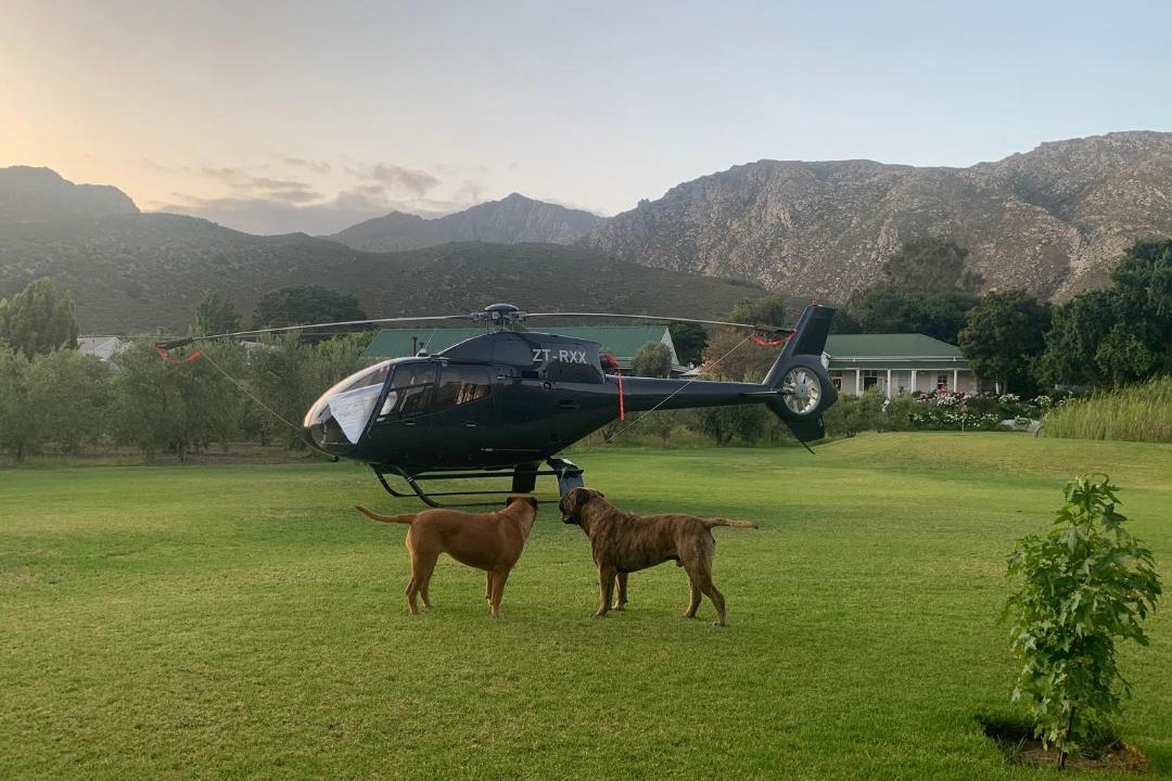 Photo of Others in Montagu