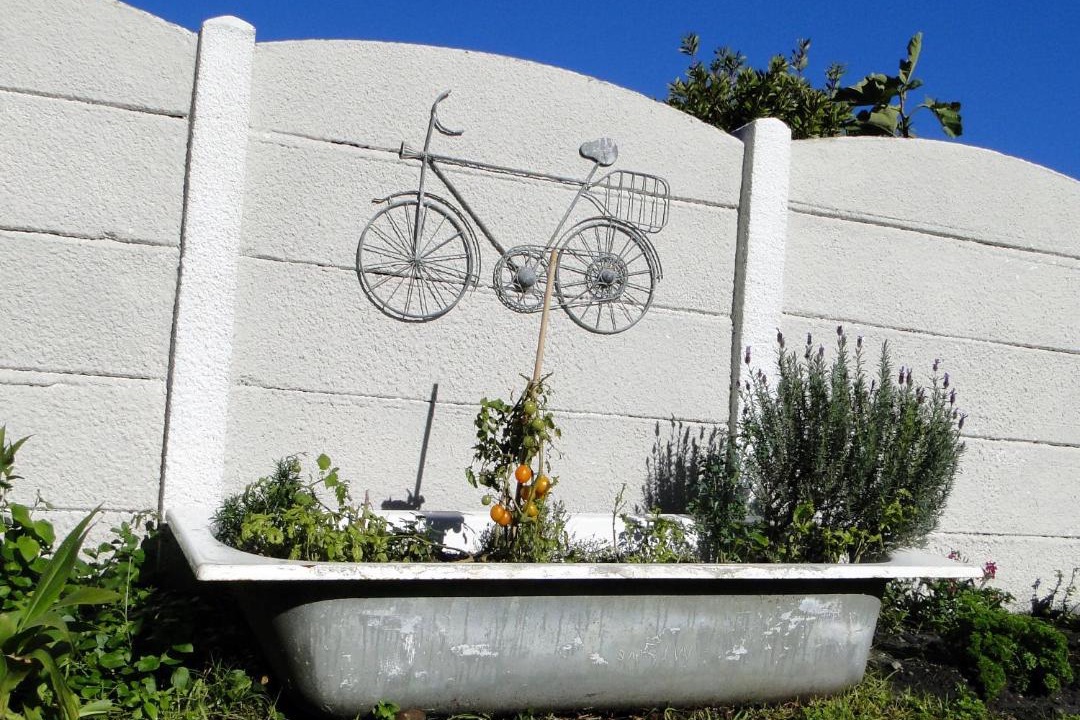 Photo of Others in Kleinmond