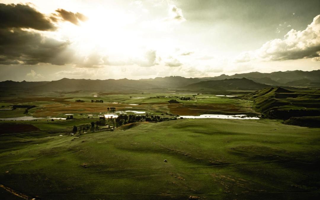 Photo of Others in Drakensberg Gardens