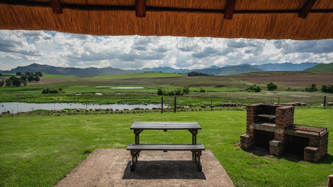 Photo of Others in Drakensberg Gardens