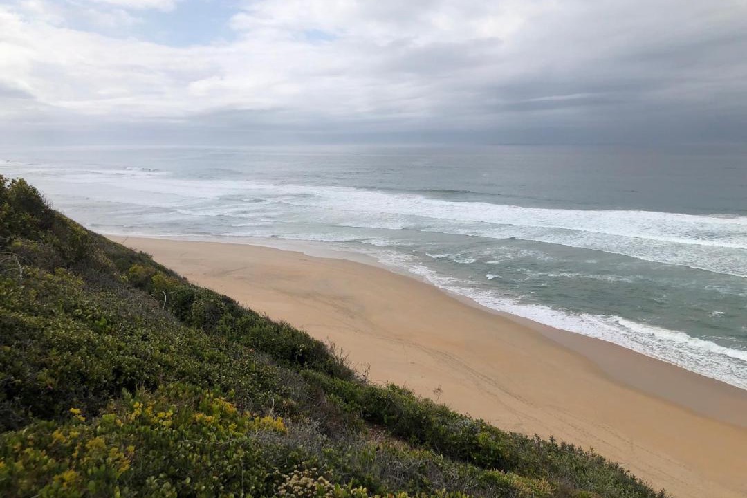 Photo of Others in Wilderness Beach
