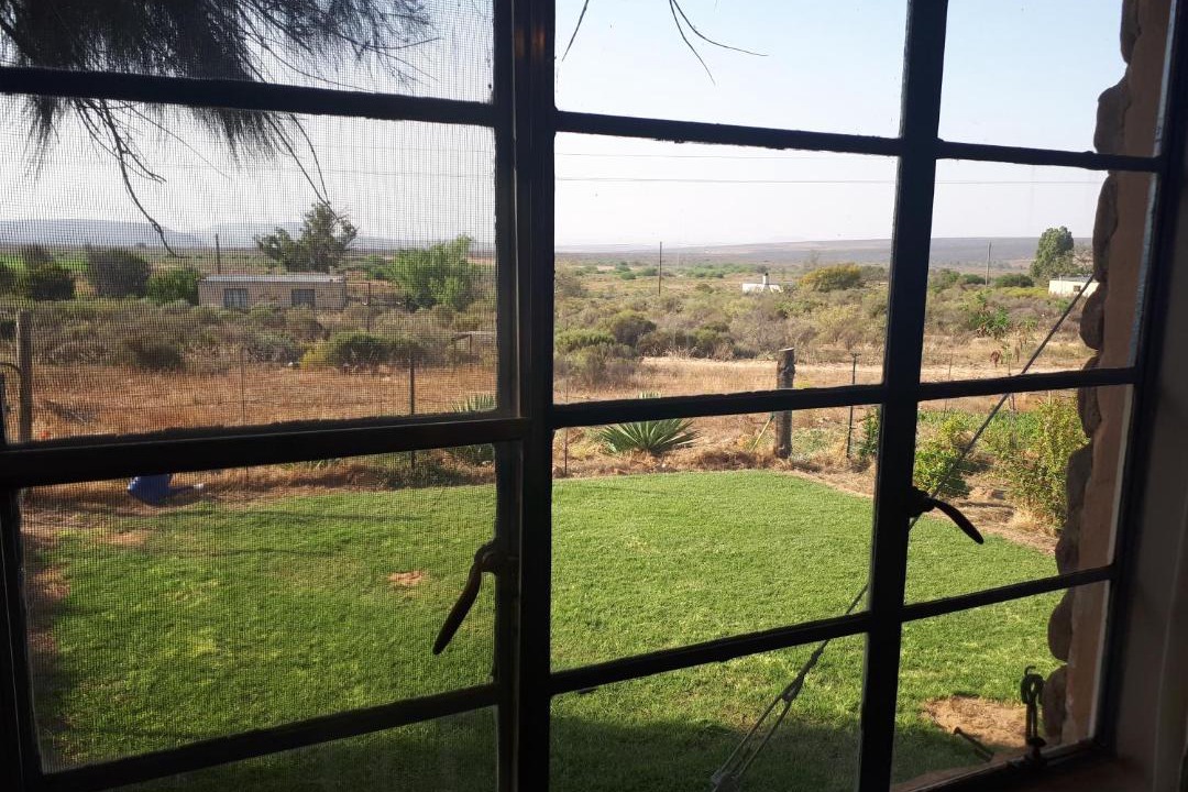 Photo of Others in Cederberg