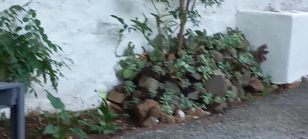 Photo of Others in Colesberg
