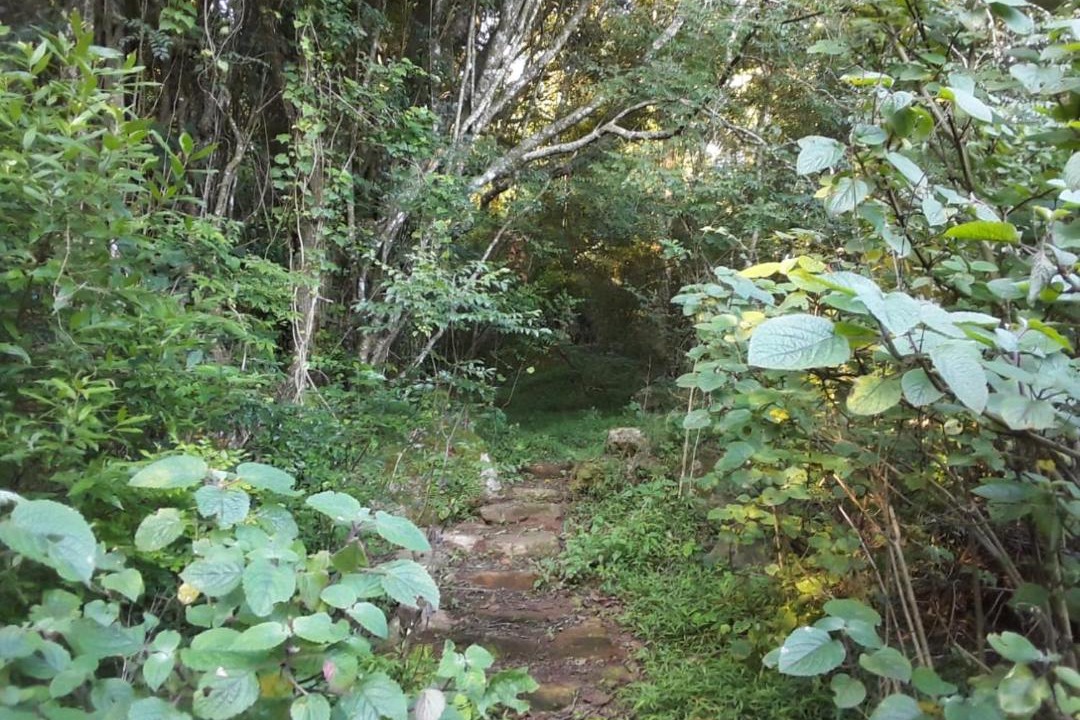Photo of Others in Schoemanskloof