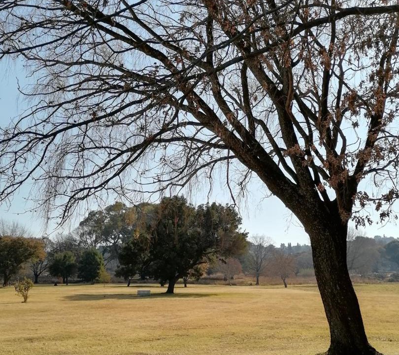 Photo of Others in Northcliff