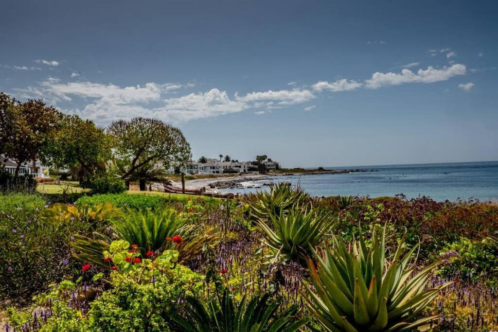 Photo of Outdoor in Shelley Point