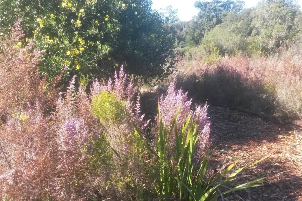 Photo of Outdoor in Buffalo Hills Game Reserve