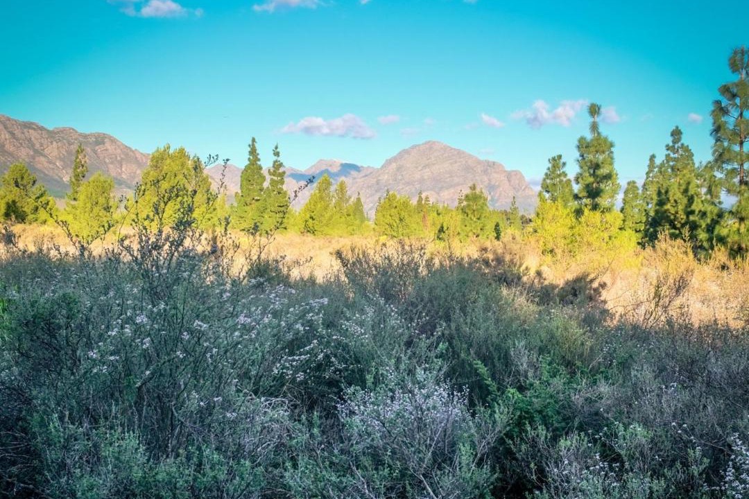 Photo of Others in Tulbagh