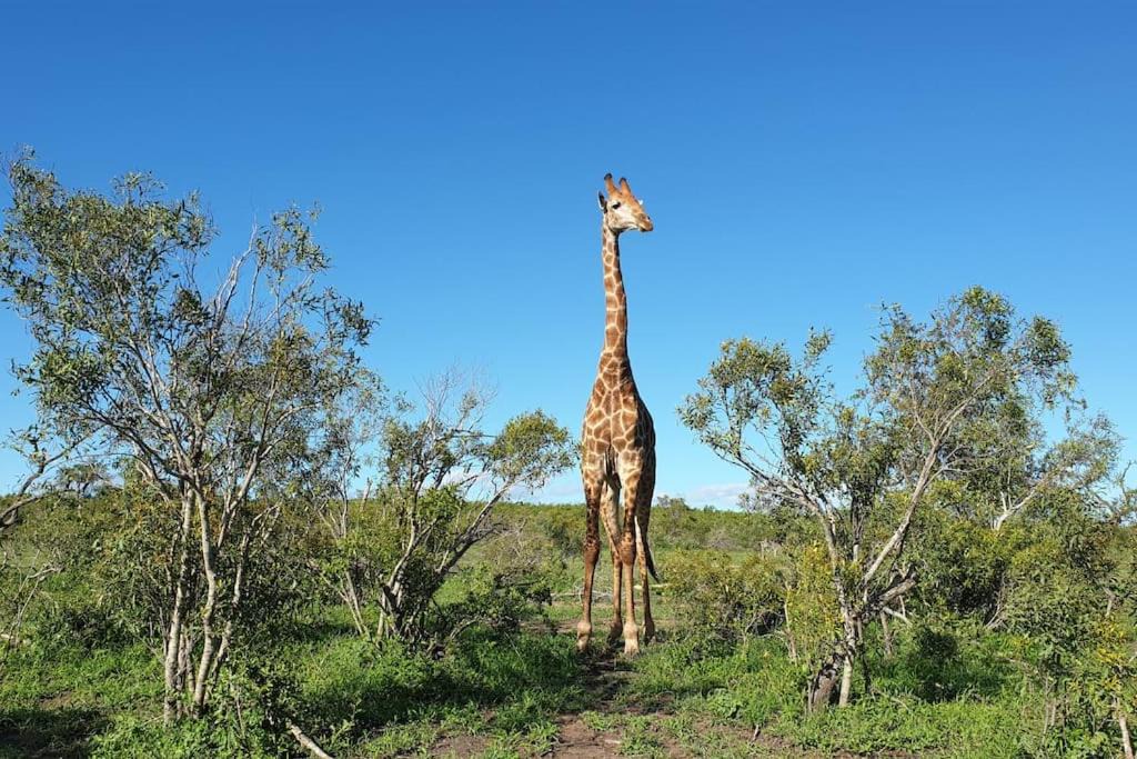 Photo of Others in Buffelspruit