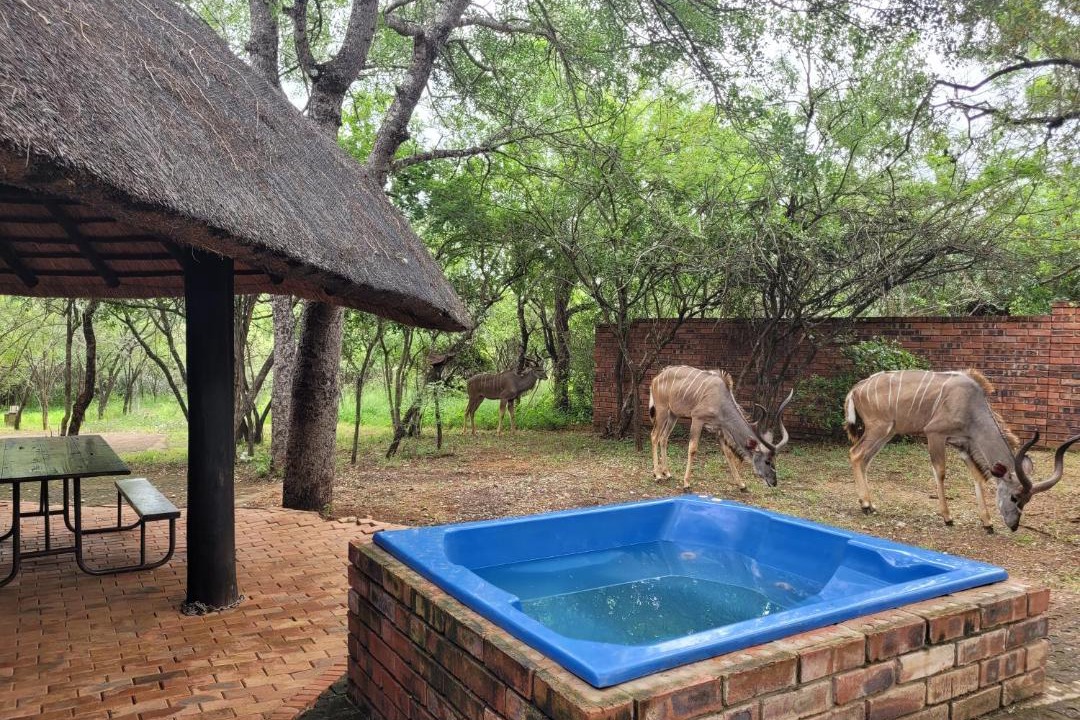 Photo of Others in Marloth Park