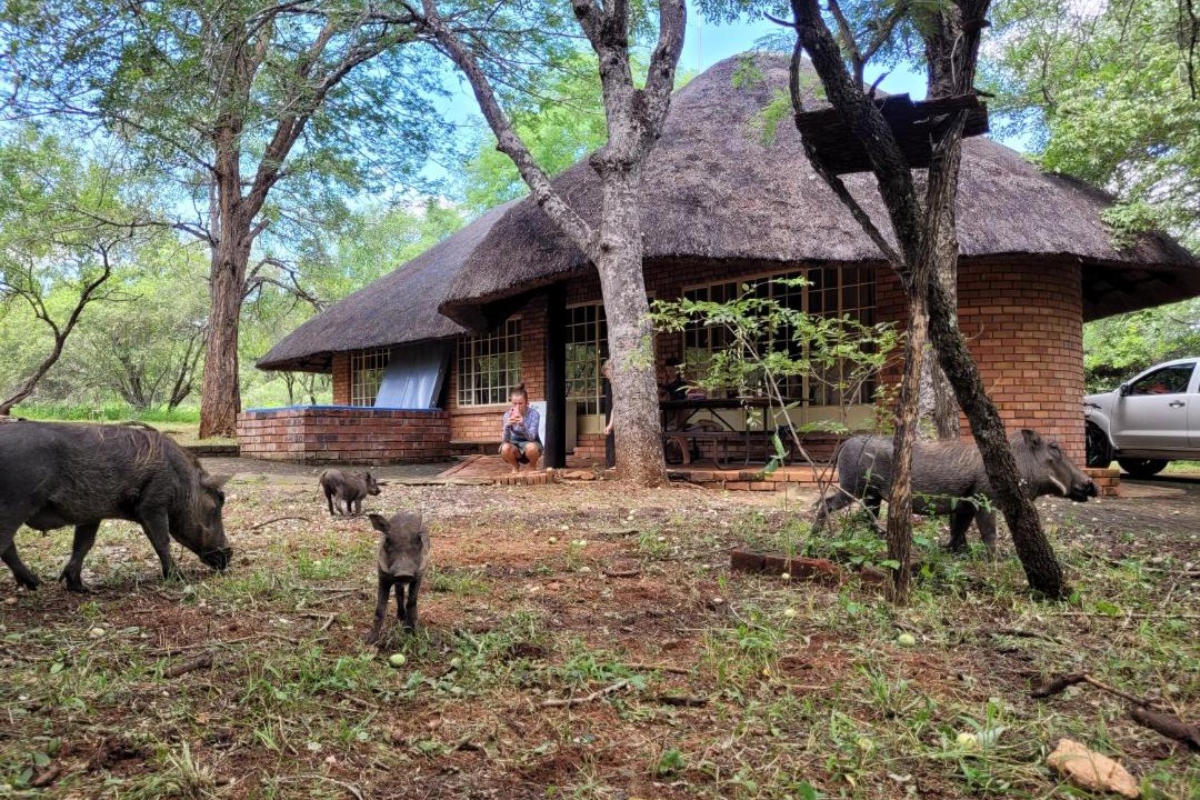 Photo of Others in Marloth Park