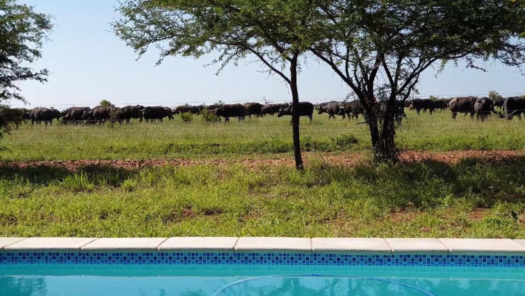 Photo of Others in Buffelspruit