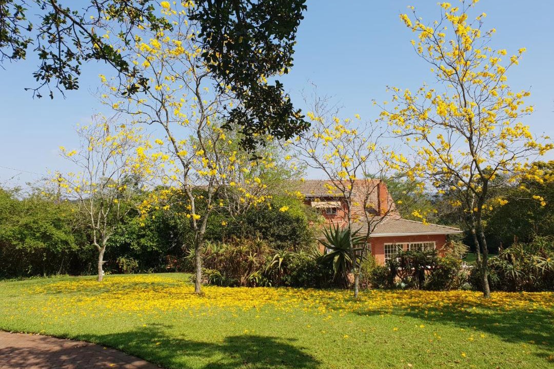 Photo of Others in Kloof