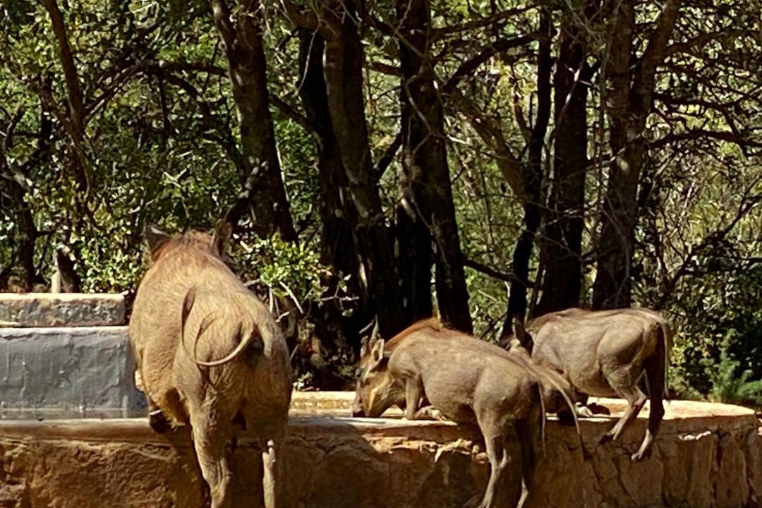 Photo of Others in Bela-Bela