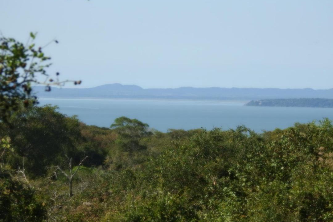 Photo of Others in Hluhluwe