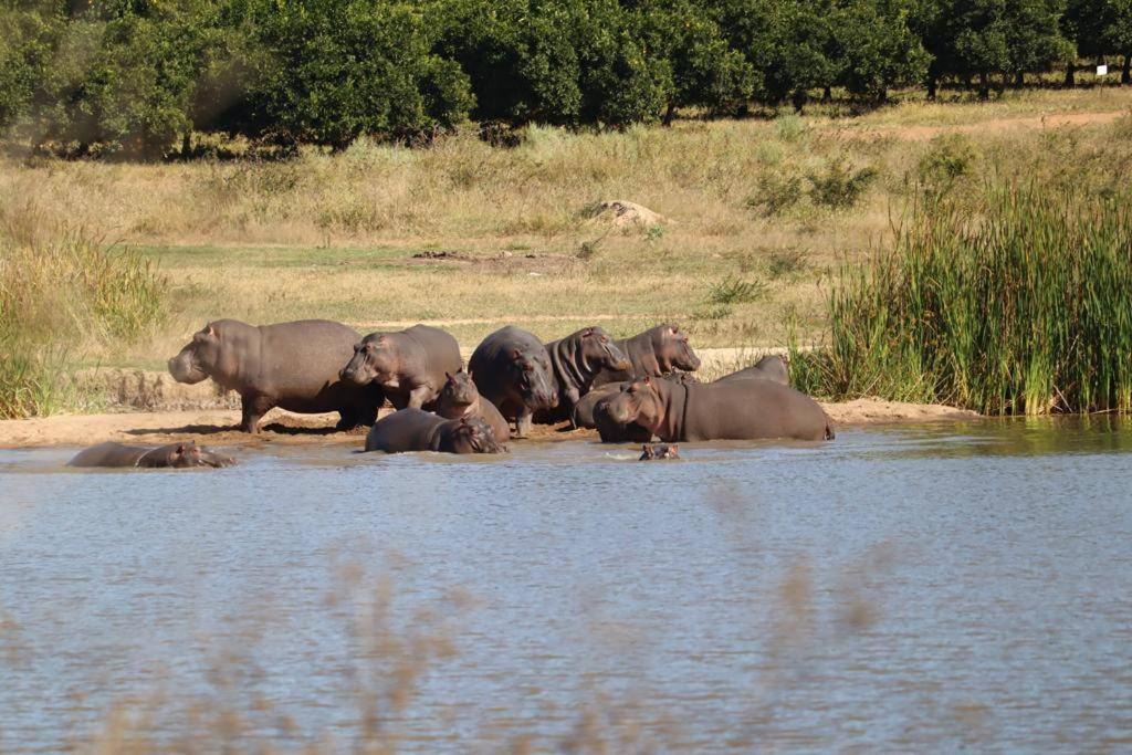 Photo of Others in Maruleng