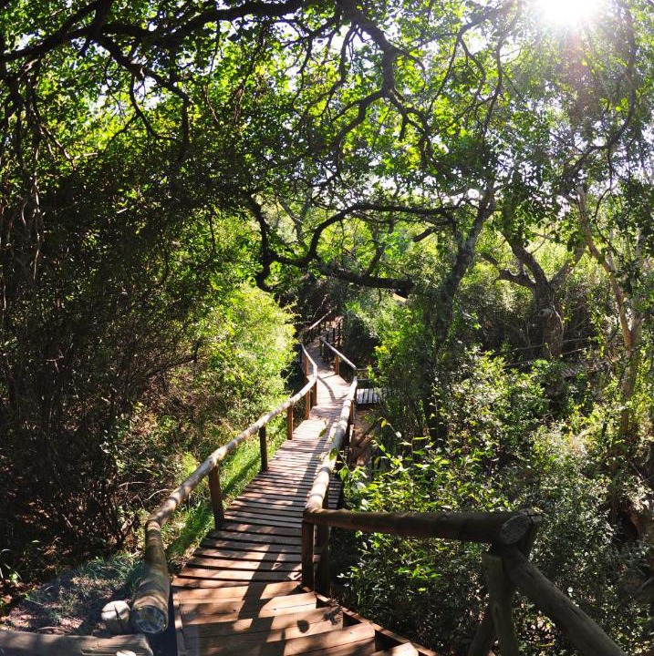 Photo of Others in Thorny Bush Game Reserve