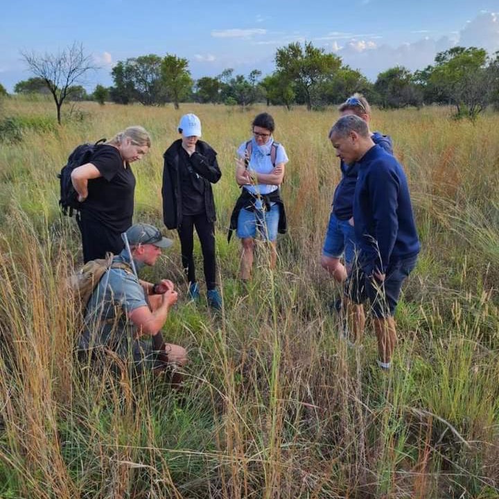 Photo of Others in Hammanskraal