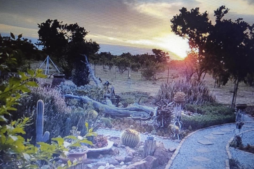 Photo of Others in Hammanskraal