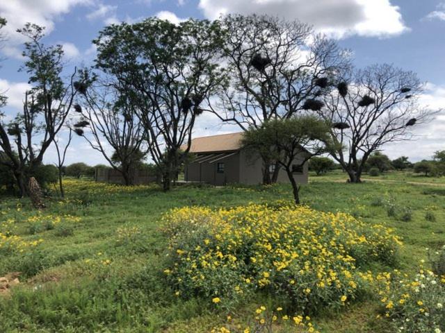 Photo of Others in Hammanskraal