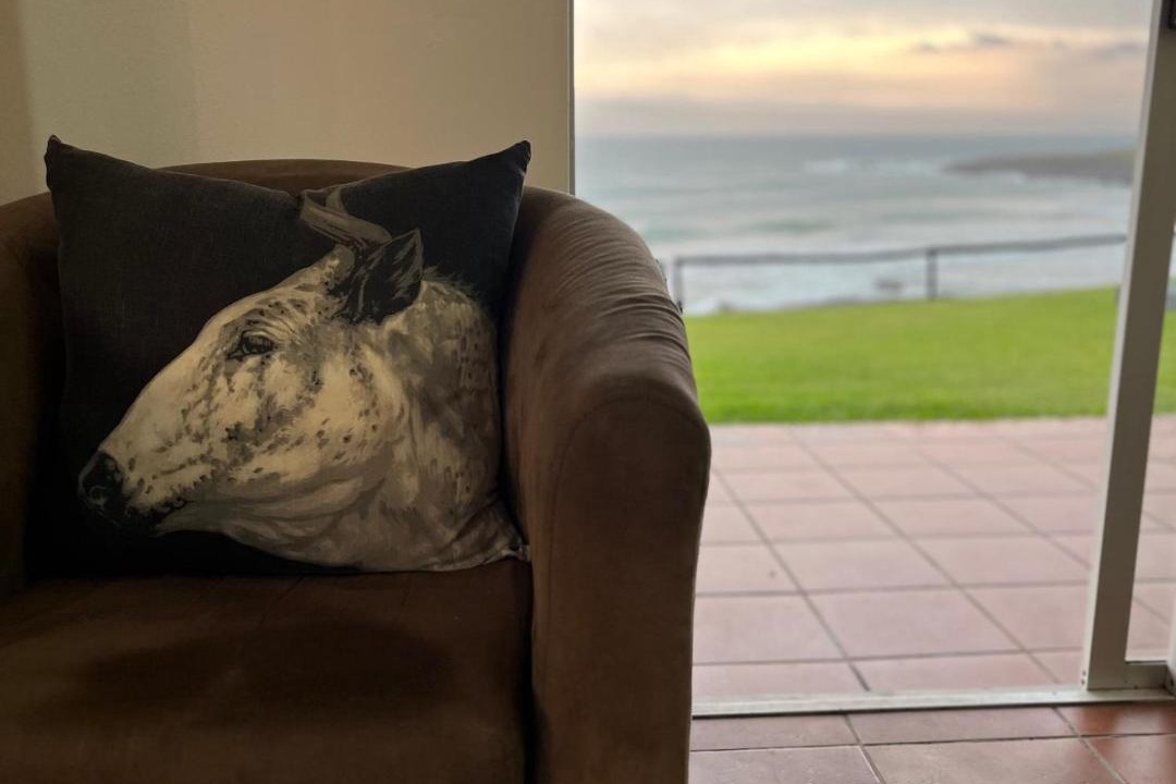Photo of Others in Mazeppa Bay