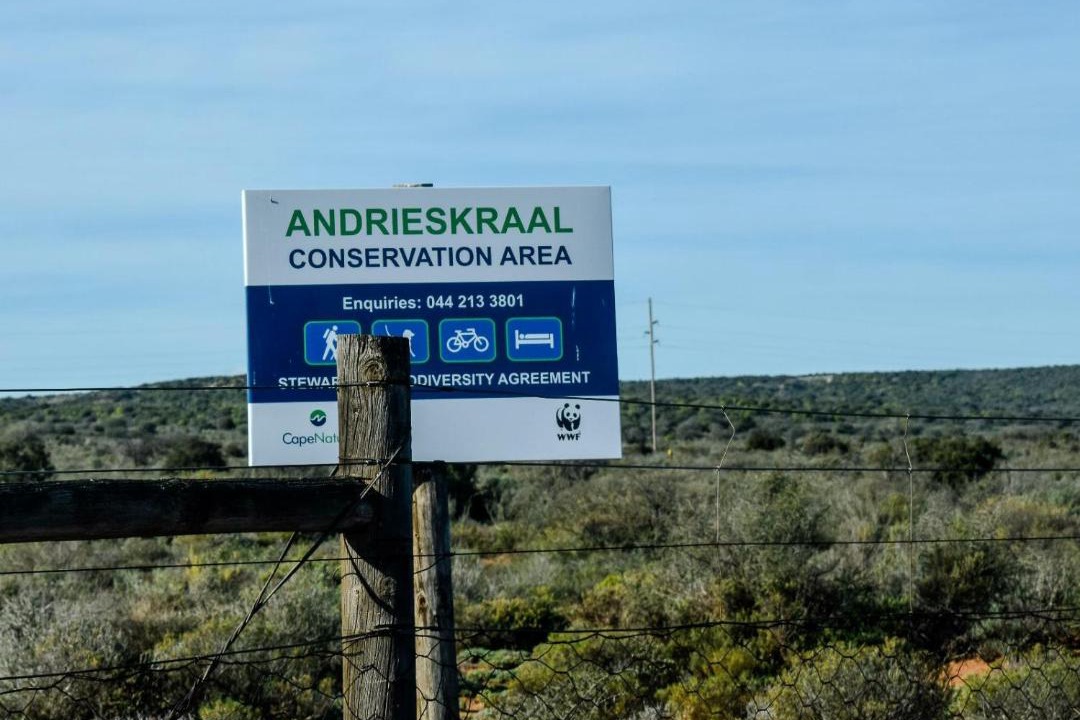 Photo of Others in Oudtshoorn