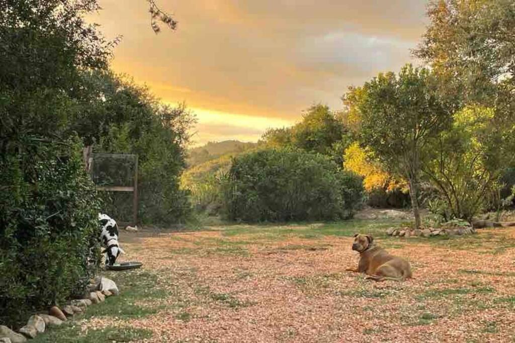 Photo of Outdoor in Harkerville