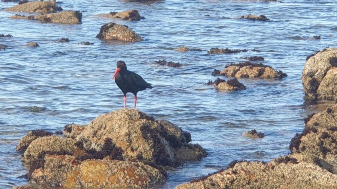 Photo of Others in Saint Francis Bay