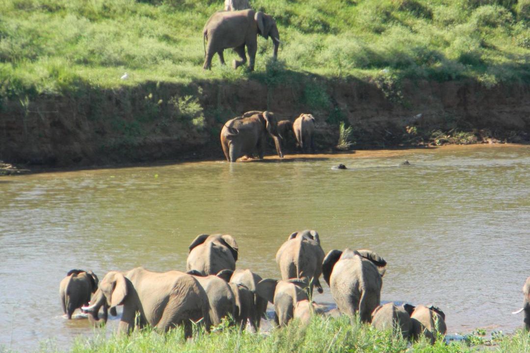 Photo of Others in Malelane