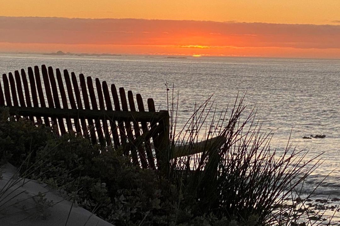 Photo of Others in St. Helena Bay