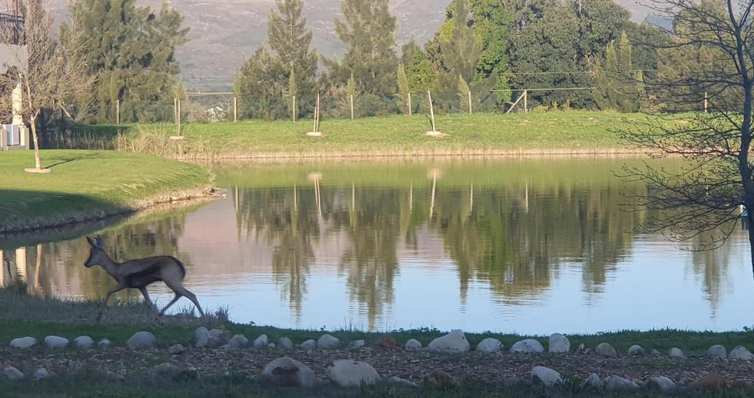 Photo of Others in Paarl