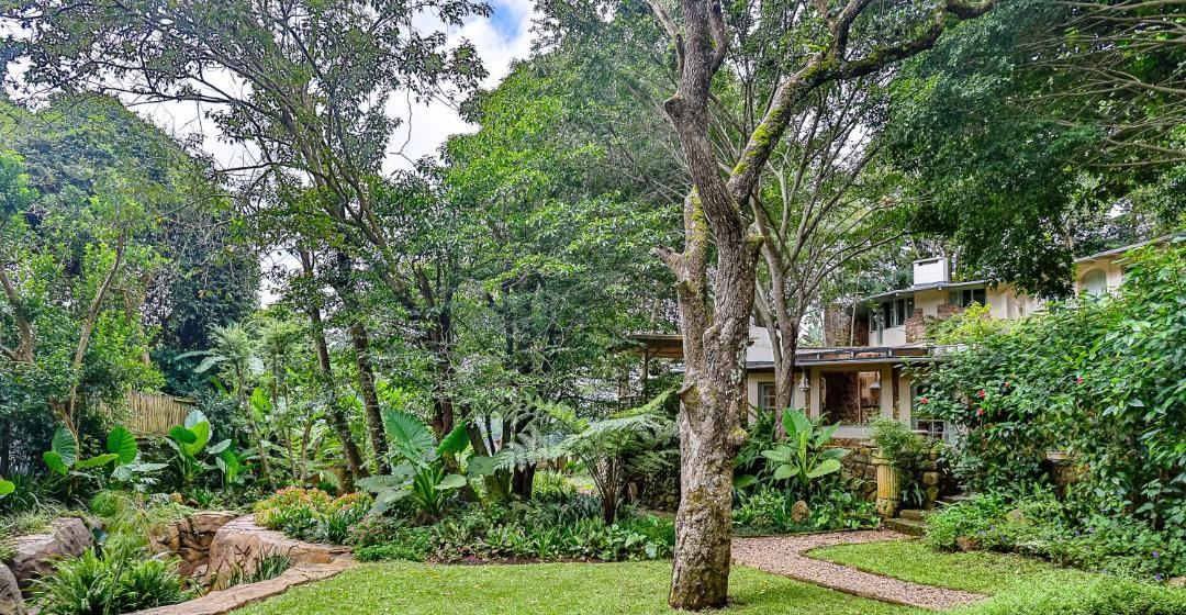 Photo of Others in Kloof