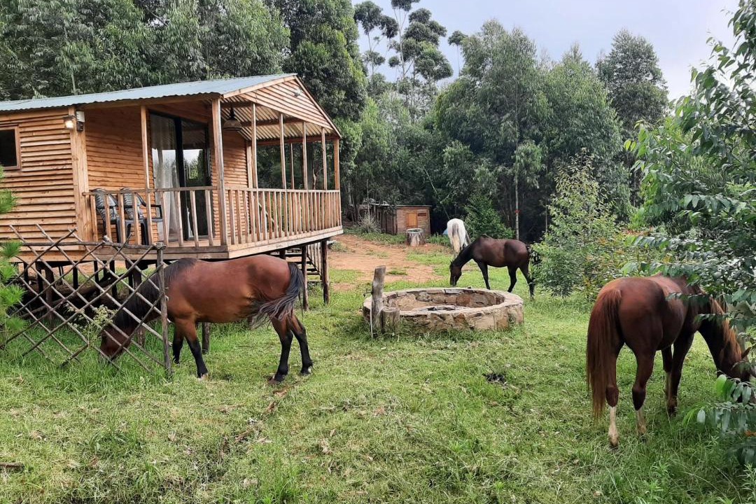 Photo of Others in Hogsback