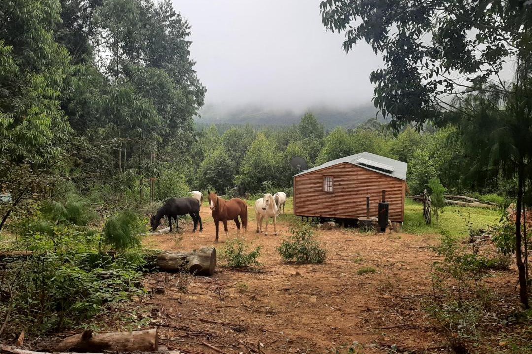 Photo of Others in Hogsback