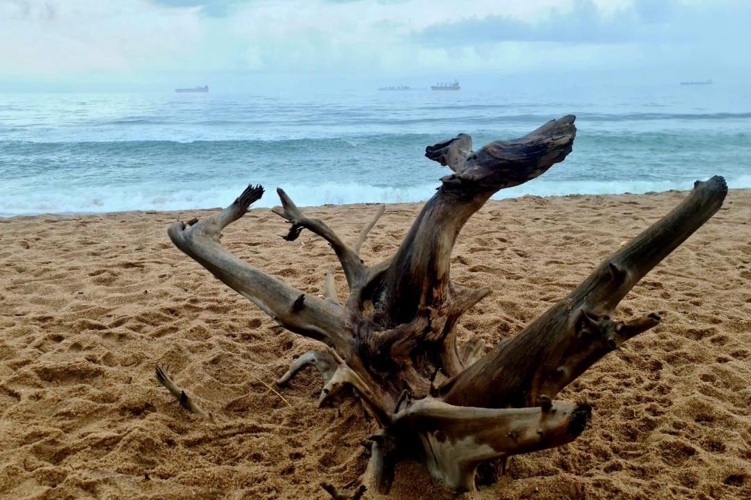 Photo of Others in Umhlanga
