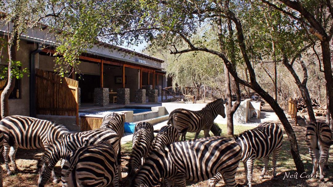 Photo of Others in Marloth Park