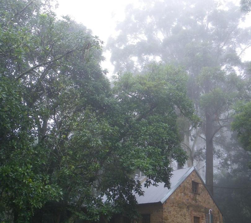 Photo of Others in Schoemanskloof