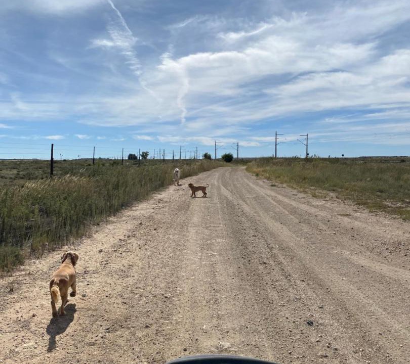 Photo of Others in McGregor Private Nature Reserve