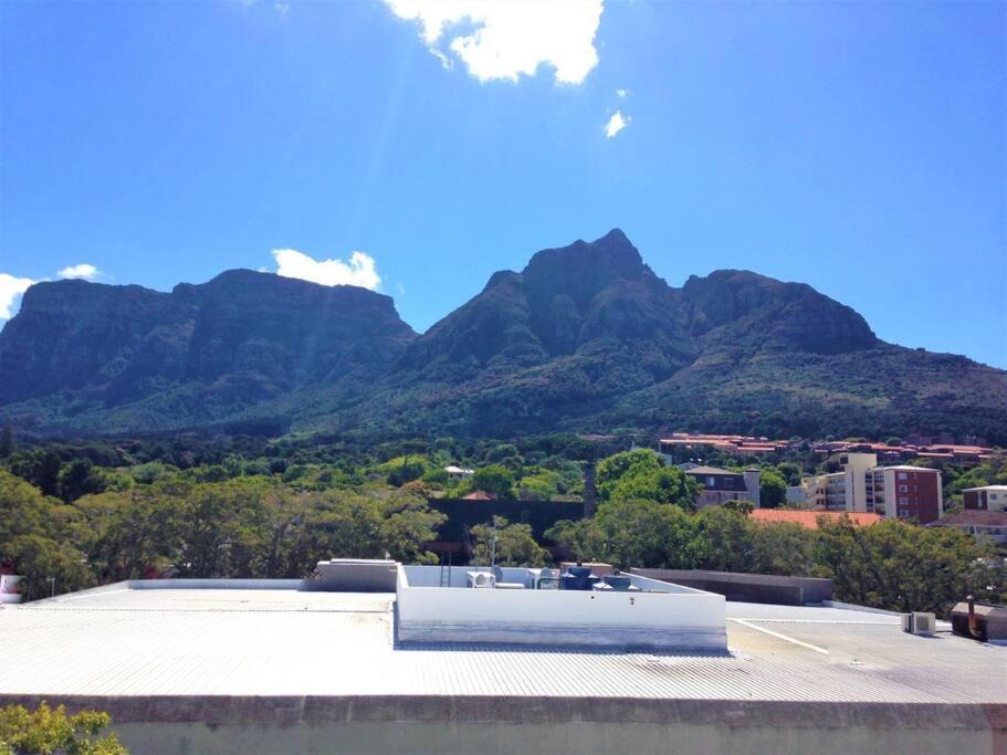 Photo of Others in Rondebosch