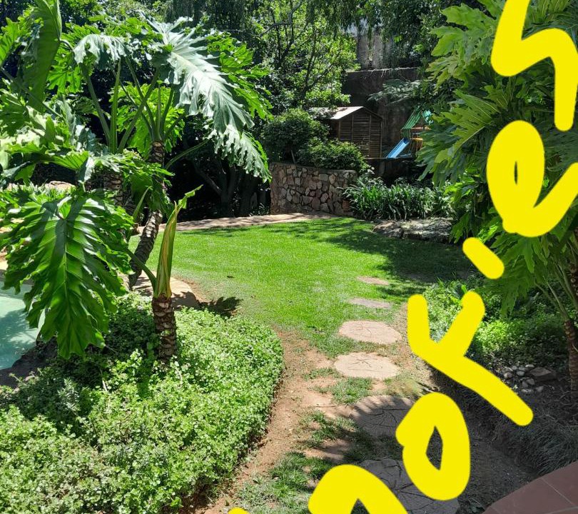 Photo of Others in Greater Johannesburg Metropolitan Area