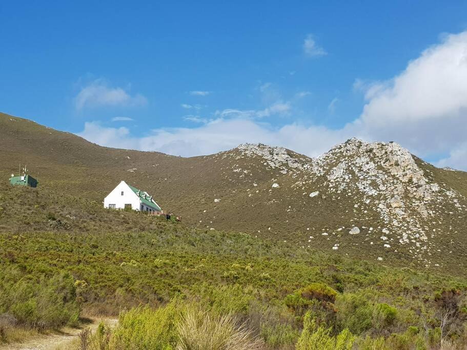 Photo of Others in Kleinmond