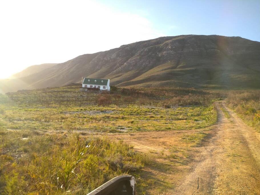 Photo of Others in Kleinmond