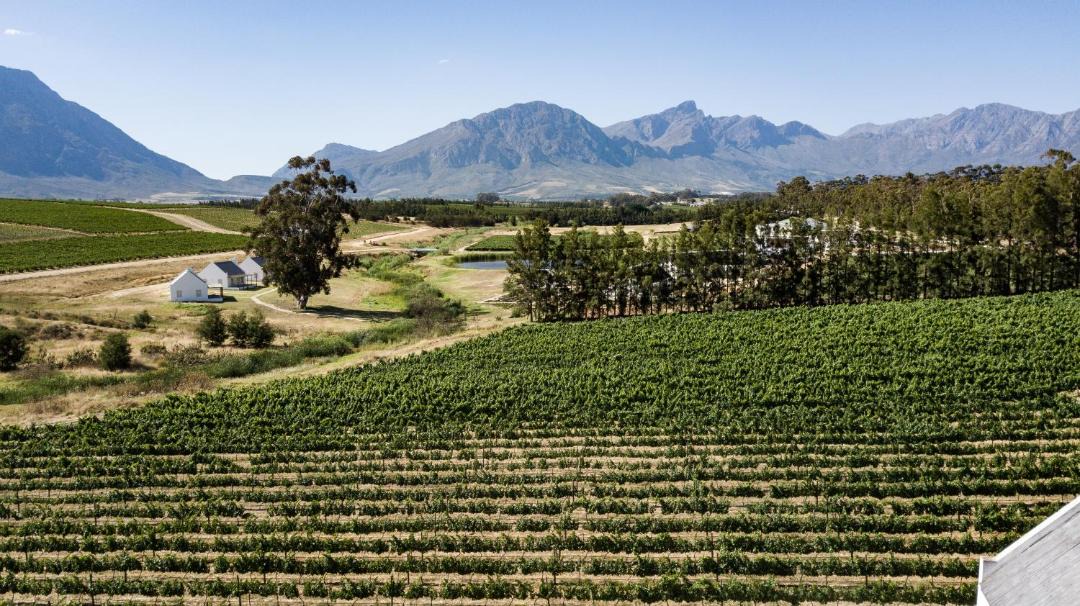 Photo of Others in Tulbagh