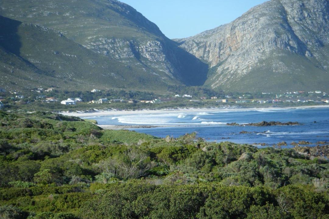 Photo of Others in Betty's Bay